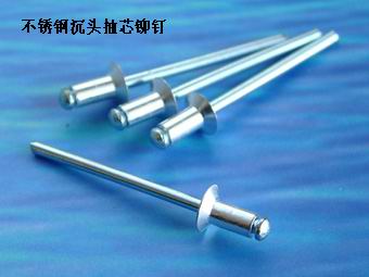Stainless steel drilling rivets