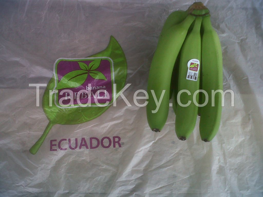 FOB $ 8, 75 Premium Ecuadorian Bananas