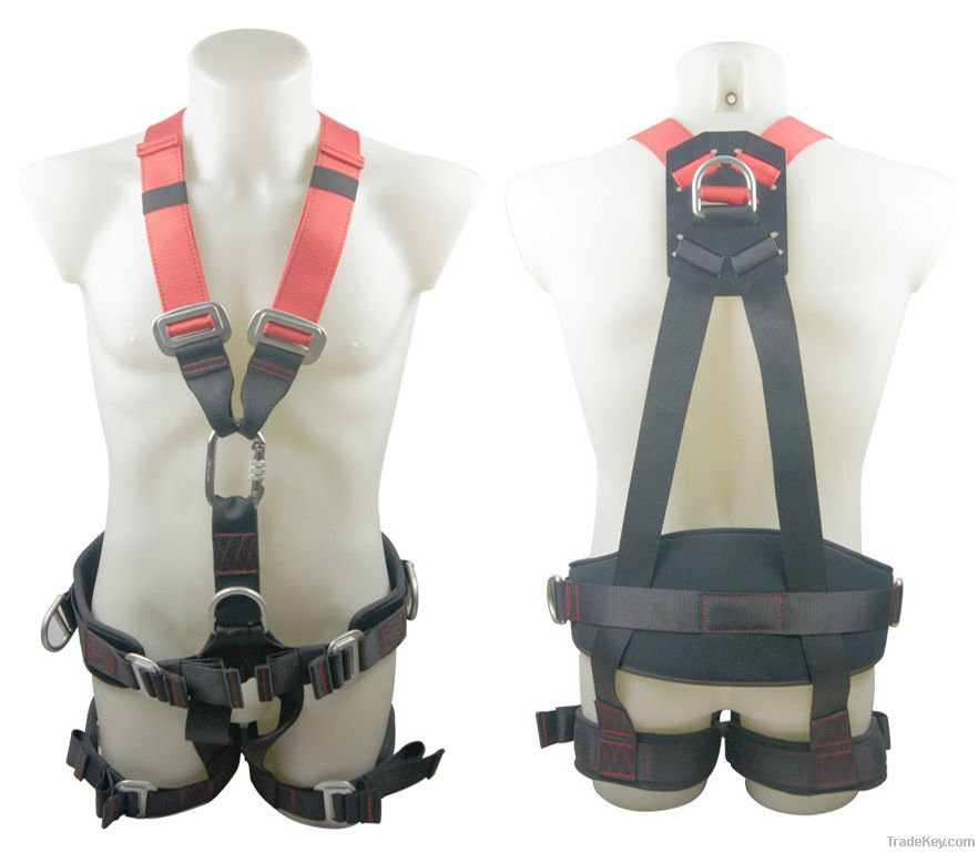 Safety Harness - 5 D Ring, Model#DHQS101