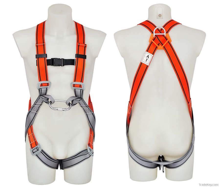 Safety Harness - 2 D Ring, Model#DHQS102