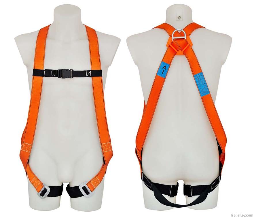 Safety Harness - 2 D Ring, Model#DHQS069