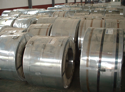 supply gallvanized steel  and cold rolled steel coils