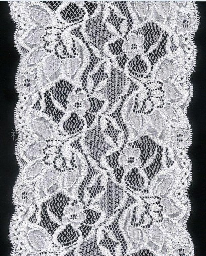 Swiss Voile Lace