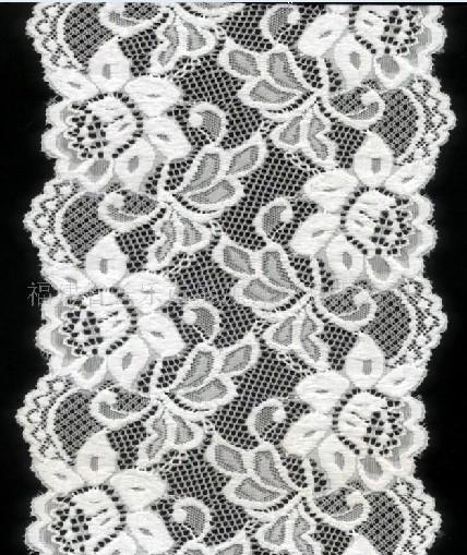 Swiss Voile Lace