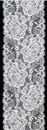 Swiss Voile Lace