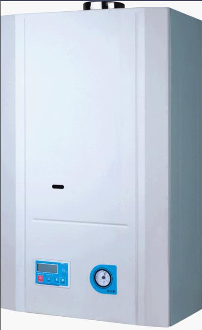 wall mounted boiler (JNG20-YJ02B)