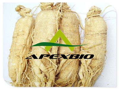 Panax Ginseng Extract Powder 6% Ginsengosides, UV