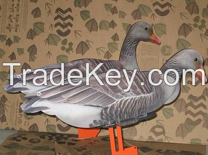 Greylag  GOOSE