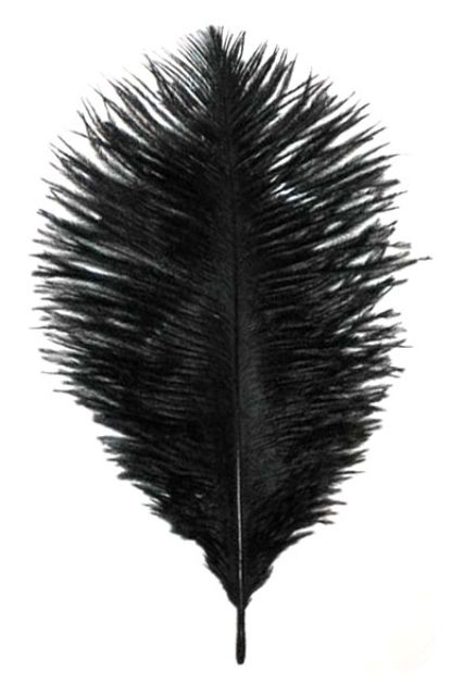 Highland Cap Feather