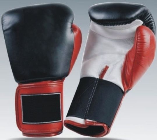 Boxing Gloves MMA Grappling