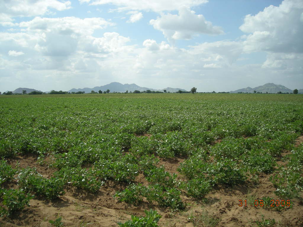 10000 acre land for lease andsale in rajasthan