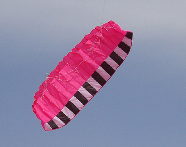 Dual-line parafoil kite