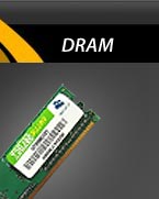 RAM Memory Module