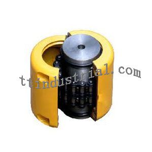 Roller Chain Coupling