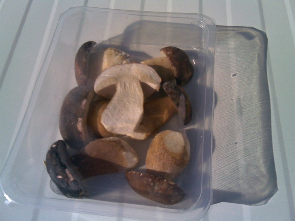 Frozen boletus edulis-whole