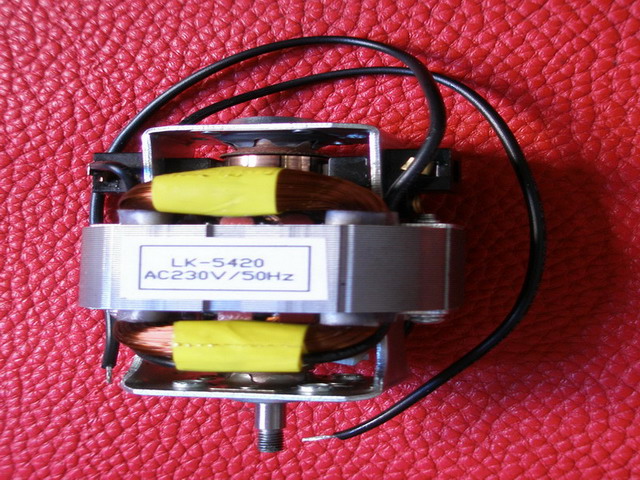 electric motor