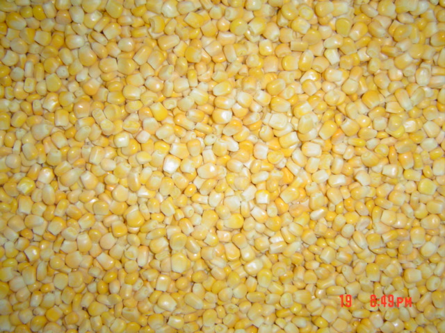 Frozen Sweet Corn