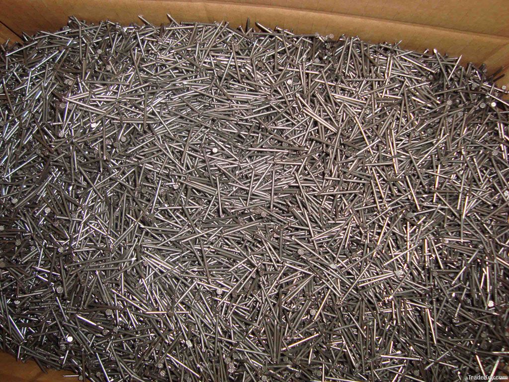 Common Wire Nails