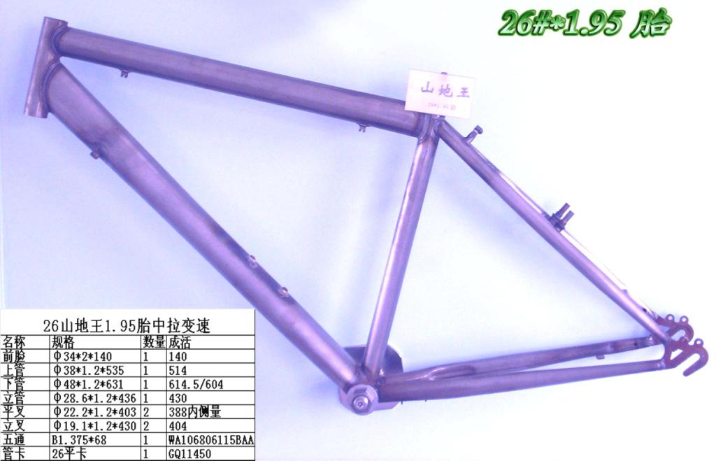mountain bike frame