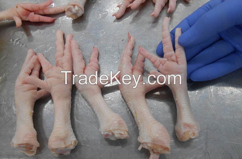 Frozen chicken paws Grade A 