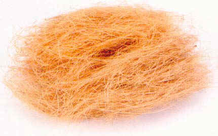 Coir Fiber