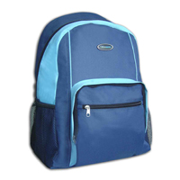 school bag/backpack