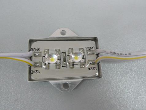 2LED Waterproof LED module (Al. housing)