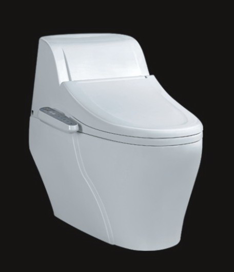 AUTOMATIC SIPHONICE ONE-PIECE TOILET C3000