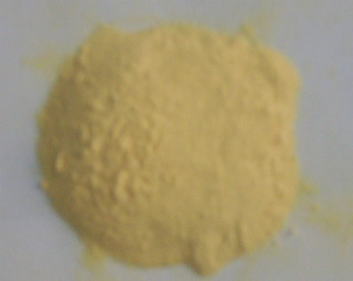 HVP (Saltless hydrolyzed vegetable protein)/ corn protein  Powder