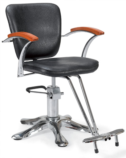 styling/salon  chair