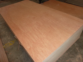 CE Plywood