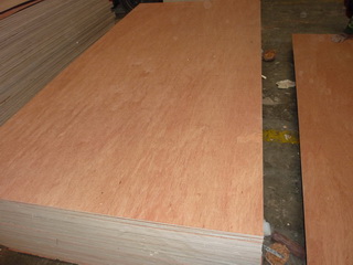 5.2mm Poplar Plywood