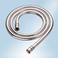 Brass  and Stainless Steel Shower Extensible Hose