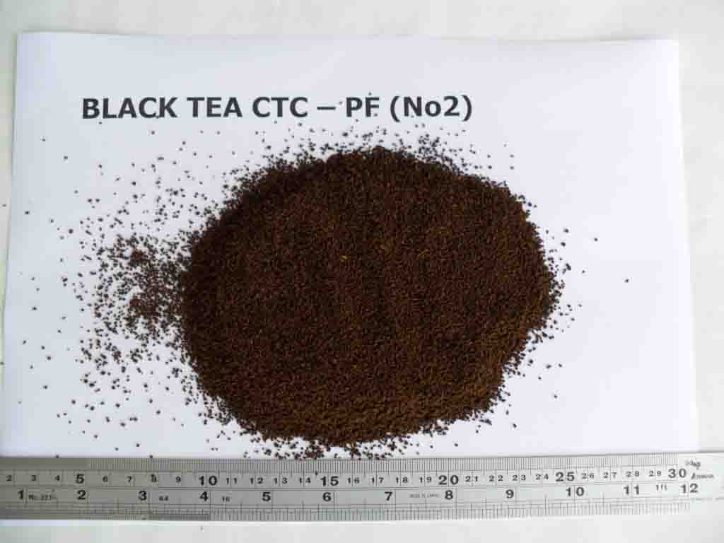 Black tea CTC PF