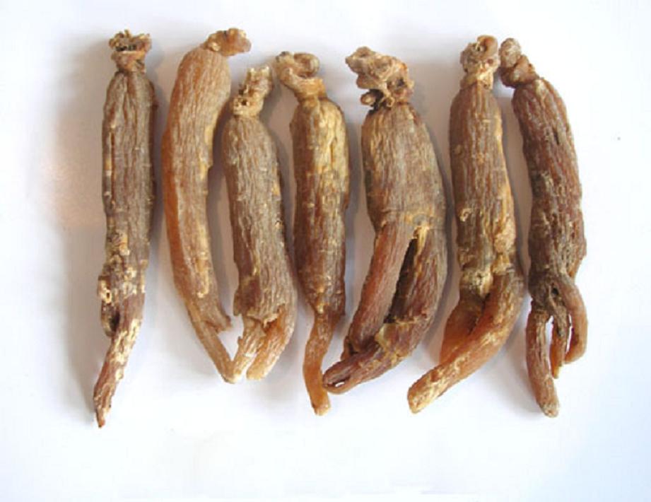 China red ginseng  roots - special nutrition tonic gifts