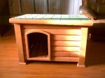 wooden dog  house