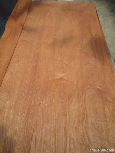 FSC rotary sapele veneer