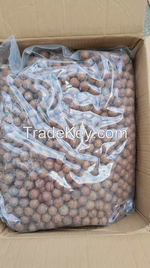 Xishuangbanna macadamia nuts