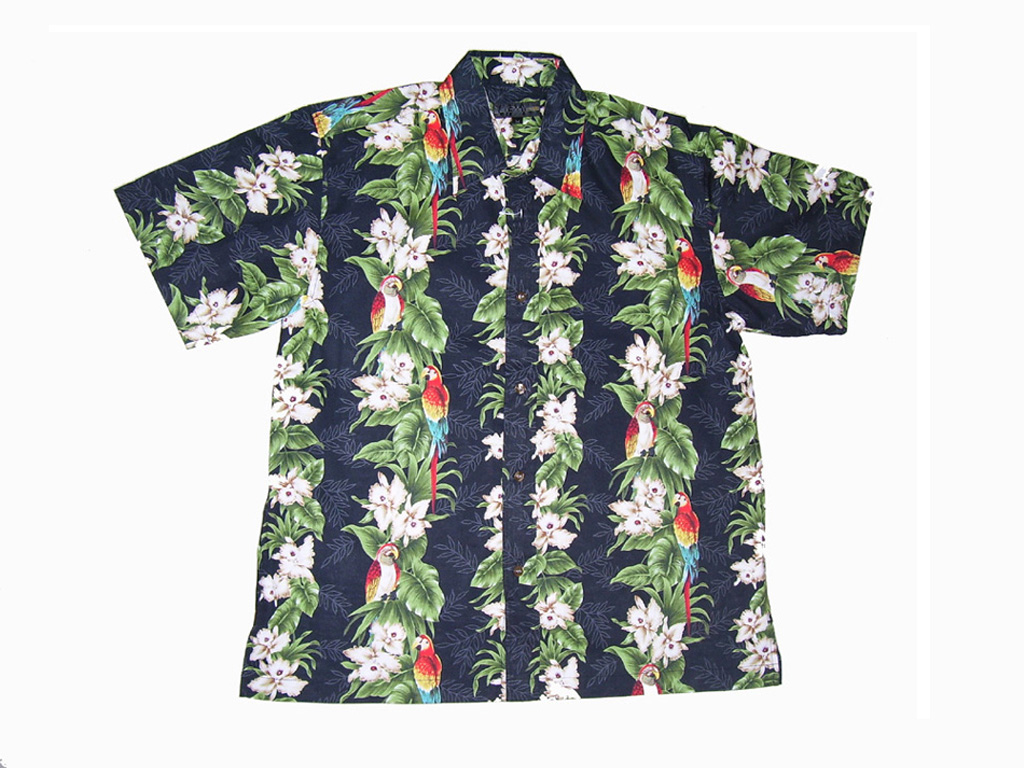 hawaiian  shirt