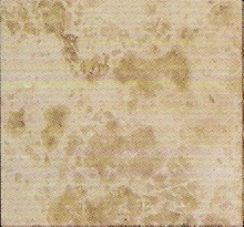 travertine,marble