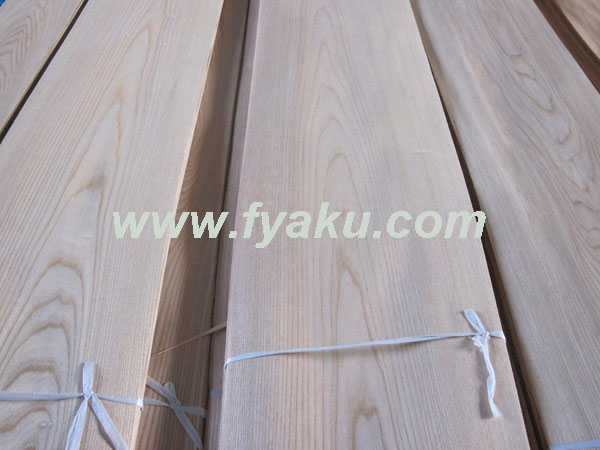 Elm Veneer