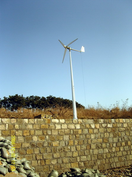 Wind Turbine Generator 1KW 