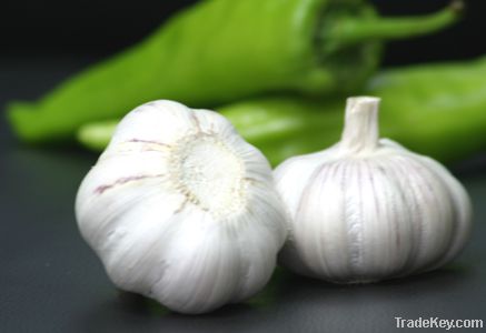 Chinese white garlic
