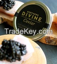 Northern Divine Sturgeon Caviar