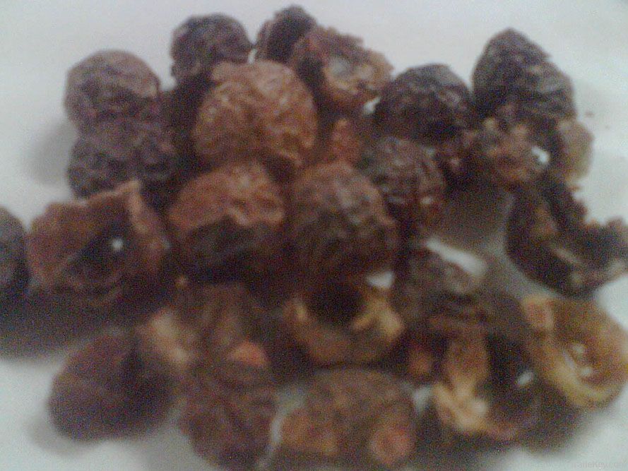 Soap Nuts (Sapindus mukorossi)