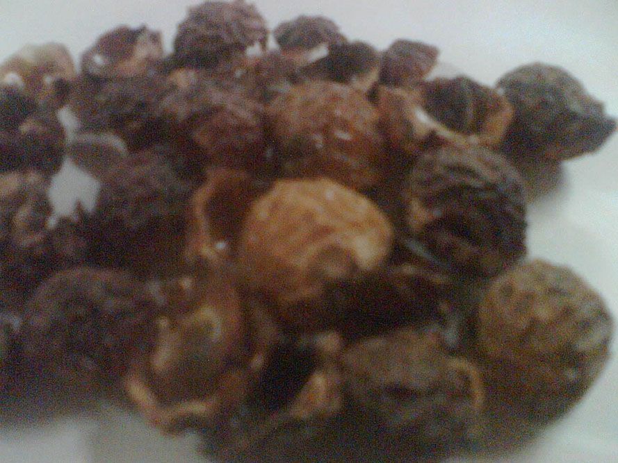 Soap Nuts (Sapindus mukorossi)