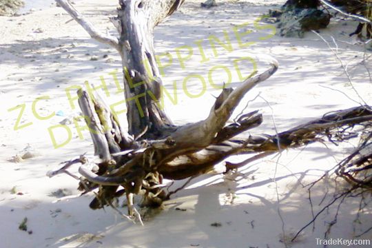 Natural Driftwood Trees