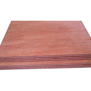 red canarium plywood(China)