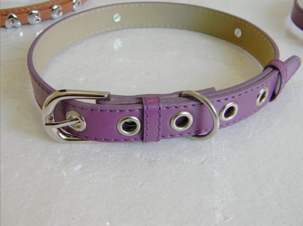 Personalized Dog collar