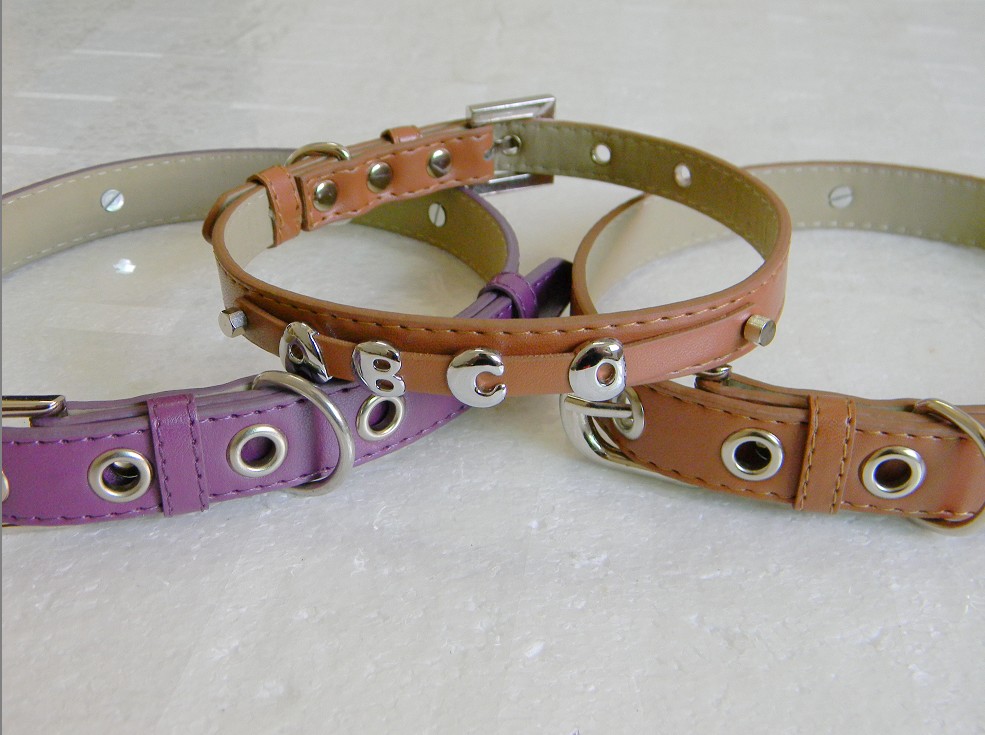 Personalized Dog collar